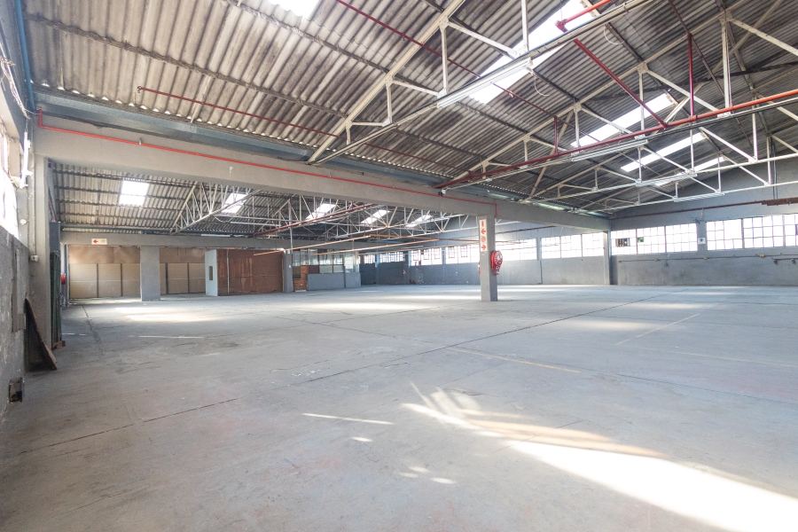 To Let Commercial Property for Rent in Epping Industrial Western Cape